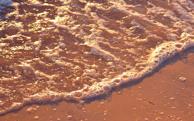 near shore dynamics